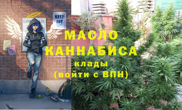 амф Дмитров