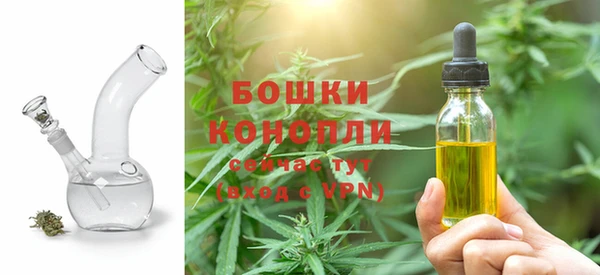 амф Дмитров