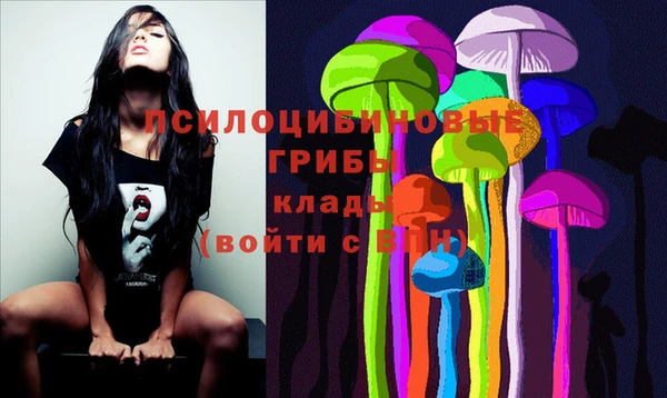 экстази Ельня