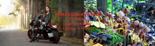 амф Дмитров
