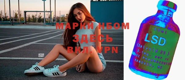 амф Дмитров