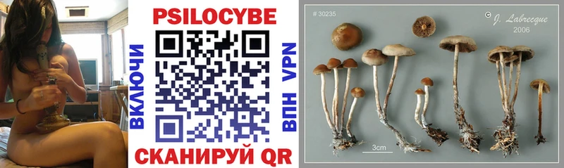 Галлюциногенные грибы ЛСД Купить где Ишимбай